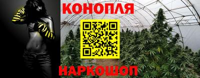 трава Братск