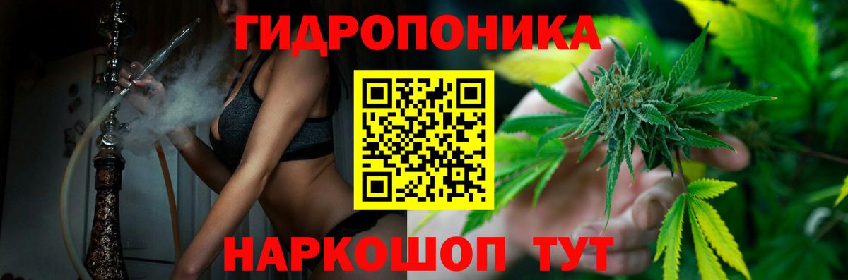 Анжеро-Судженск  Бошки Шишки Bruce Banner  Вход с VPN  Каннабис THC 21% 